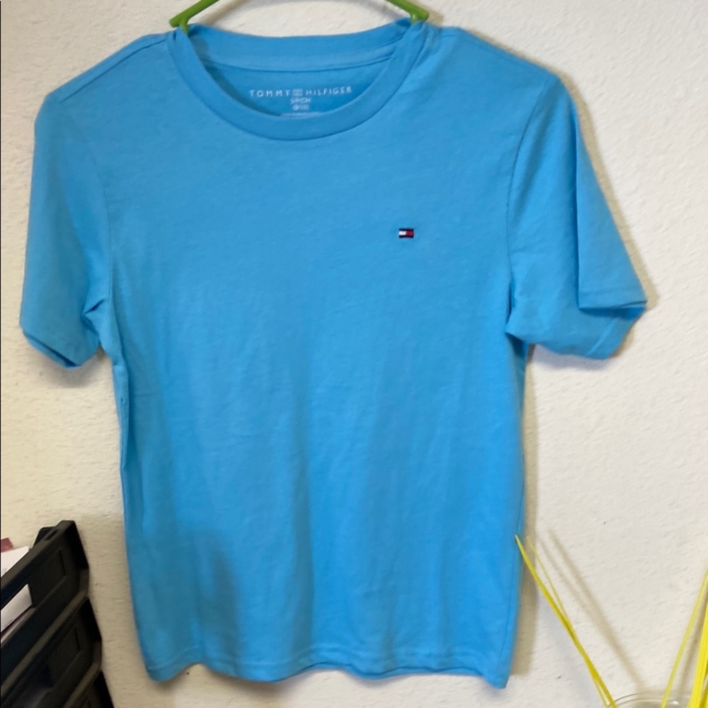 Tommy Hilfiger Men's Blue T-Shirt